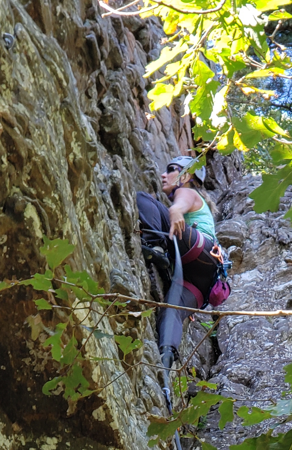 Bonnie Free Climbing